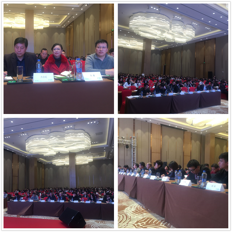 新聞11.png 新聞11.png